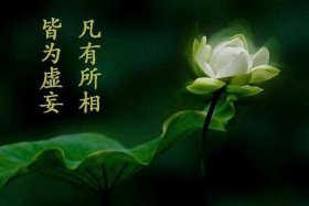 佛教学佛的规矩、佛教要遵守的规则