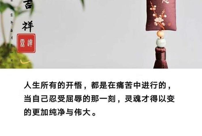 每日禅语及感悟 每日禅语app