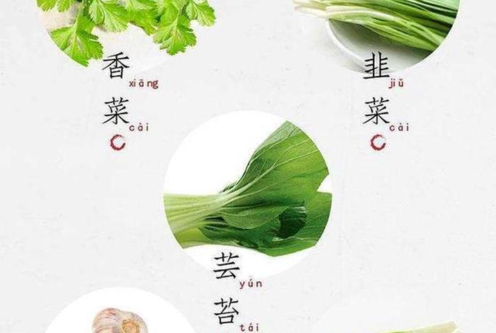 佛教中的五辛是指的哪五种食品；佛家讲的五辛是哪五种