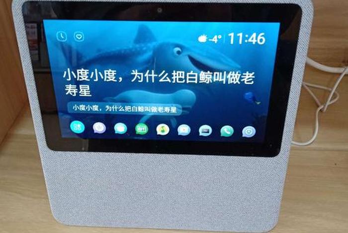 小度