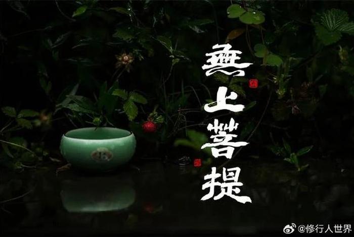 佛教讲解人生哲理视频，佛家讲人生视频