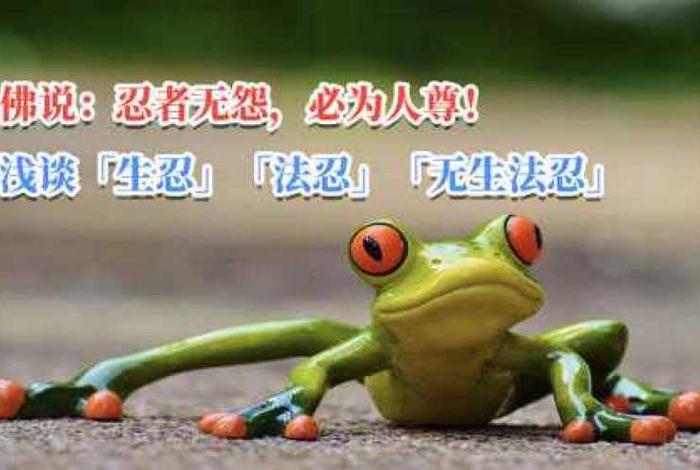 无生法忍是什么阶位、什么叫无生法忍