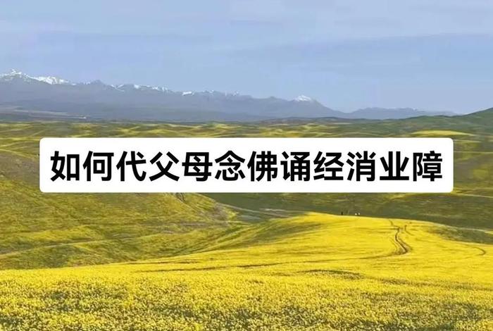 怎么劝导学佛痴迷的人 如何劝父母学佛念佛