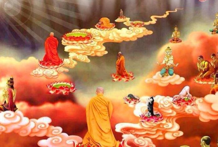 佛教教导的视频；佛教教导的视频在线观看