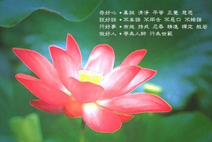 佛教植物有灵魂吗（佛教里植物有生命吗）