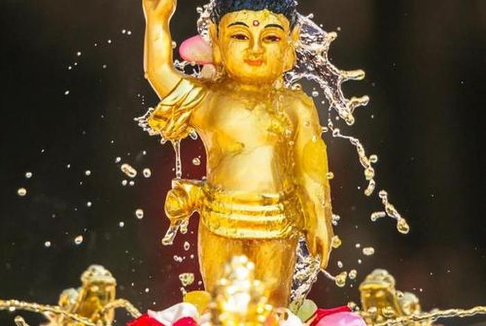 佛陀成道脚踏莲花视频 佛陀脚踩莲花