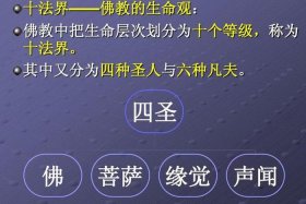 佛教基础知识11集讲解视频 - 佛教的讲解视频