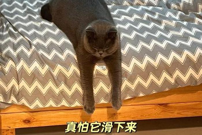 边地是什么意思 - 边什么意思？