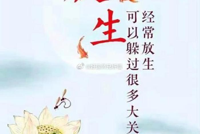 佛教放生祈福语录 - 佛教放生祈福语录图片