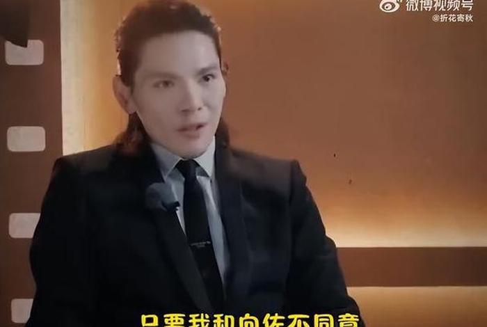 向佐专业讲解；向佐专访视频