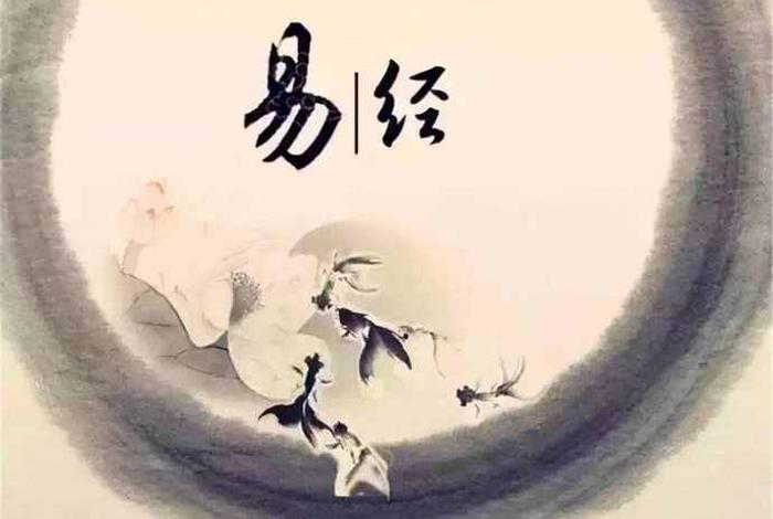 老人学易经、老人学易经转出去的钱还能追回来吗