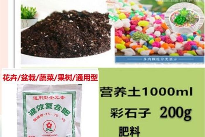 多肉施肥视频教程全集 多肉施肥视频教程全集播放