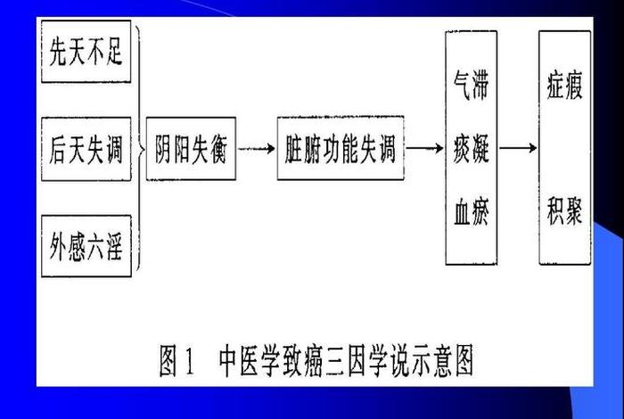 简述佛教思想对中医学的形成产生哪些影响？（佛教对中医学产生了哪些影响）