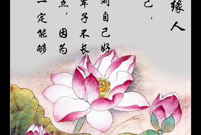 佛教渡人知识有哪些呢图片；佛教 渡