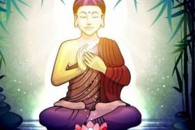 关于佛教方面的知识的视频；关于佛教的视频播放