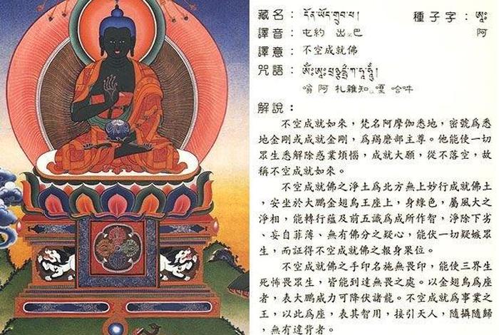 关于佛教果位的知识有哪些 关于佛教果位的知识有哪些书