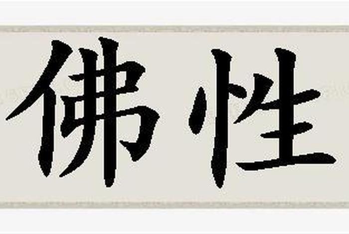 佛性的定义 - 佛性体现在何处