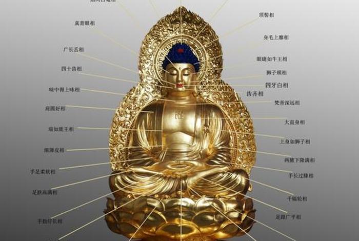 佛教32相是什么；佛的三十二相好