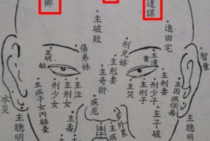 佛教胎记的传说与前世；佛教胎记的传说与前世有关