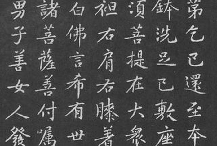 王菲白话金刚经讲解；王菲金刚经全文朗诵