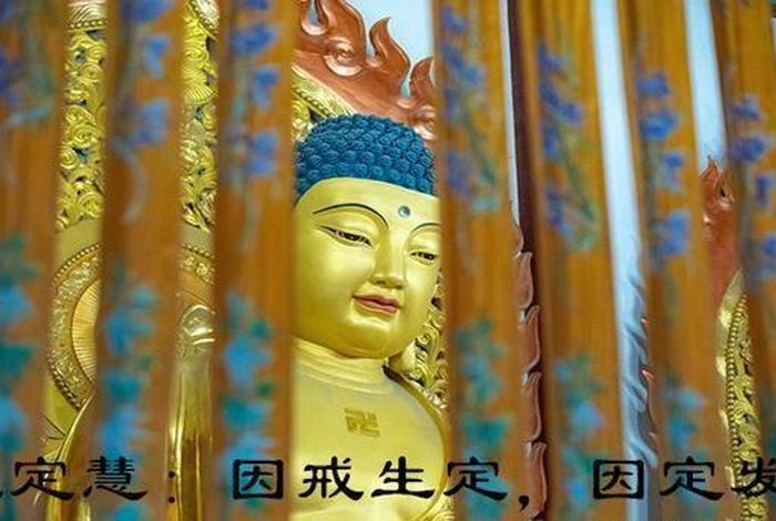 佛教是怎么讲幻觉的，学佛出现幻觉