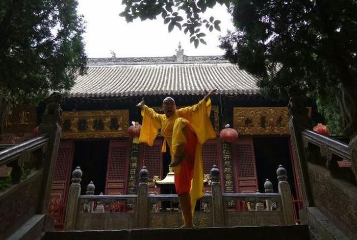 佛教为什么会武术（佛教为什么厉害）