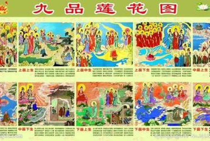佛教放生一览表、佛教放生有什么讲究