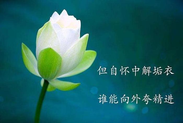 佛学 开悟 佛学开悟的词语