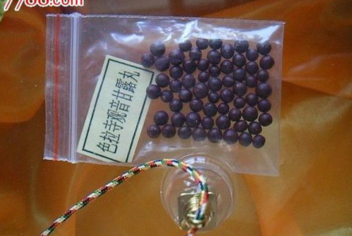 佛教甘露丸变多的原因 甘露丸藏传佛教
