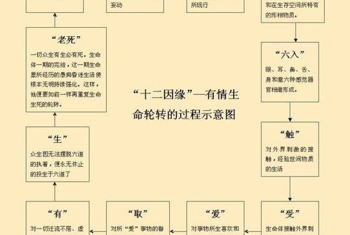 佛家怎样说缘（佛学里怎么讲缘）