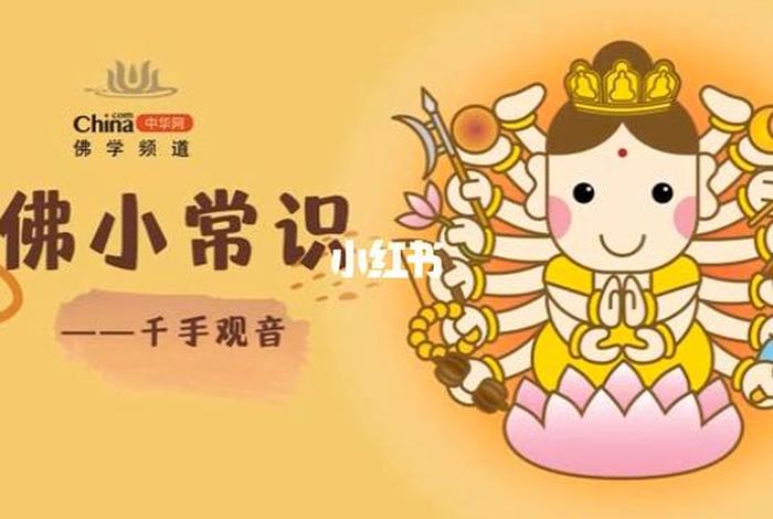 漫画讲解佛教小知识大全视频 - 漫画讲解佛教小知识大全视频下载