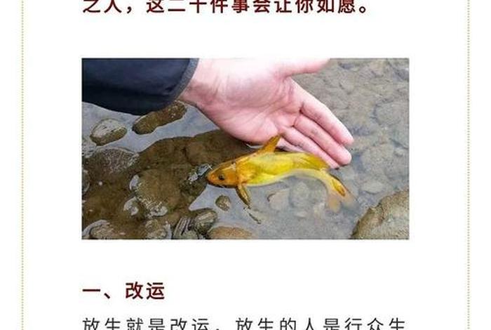 佛教为什么吃素不算杀生、信佛为什么吃素