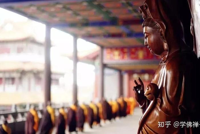 学了佛法后人会有什么改变 知乎；学了佛法后感想