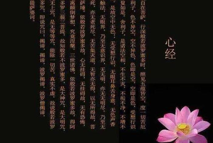 观自在觉有情的意思（观自在 含义）