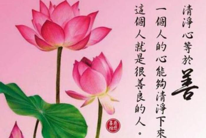 从佛中感悟人生 佛的人生感悟的说说