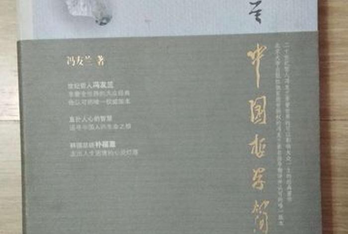 冯友兰谈佛学（冯友兰观点）