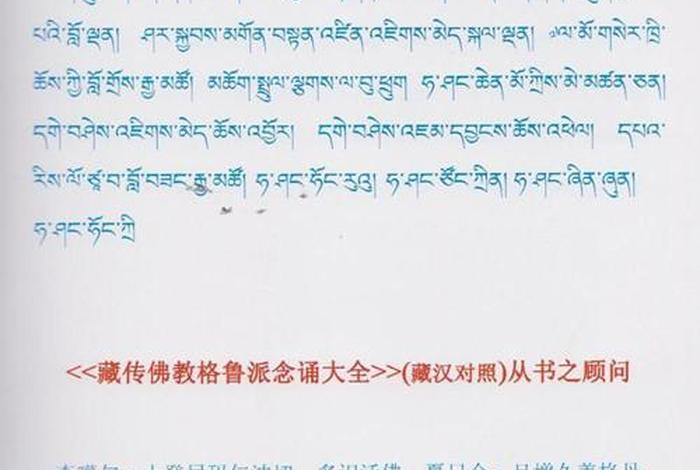 藏文佛教知识大全集电子版；藏传佛教藏文