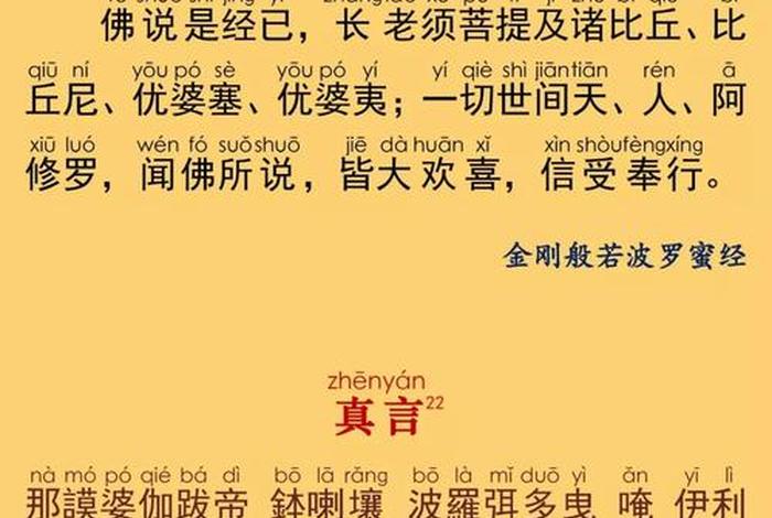 佛经密中密（密宗佛经念诵视频）