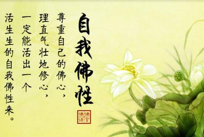 有关佛教知识的句子有哪些；佛教相关的小知识