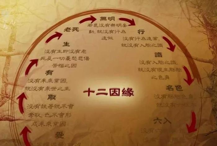 佛教如何破无明，破除无明的方法