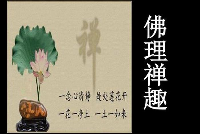 佛教禅释什么意思 - 佛教中的禅是什么意思