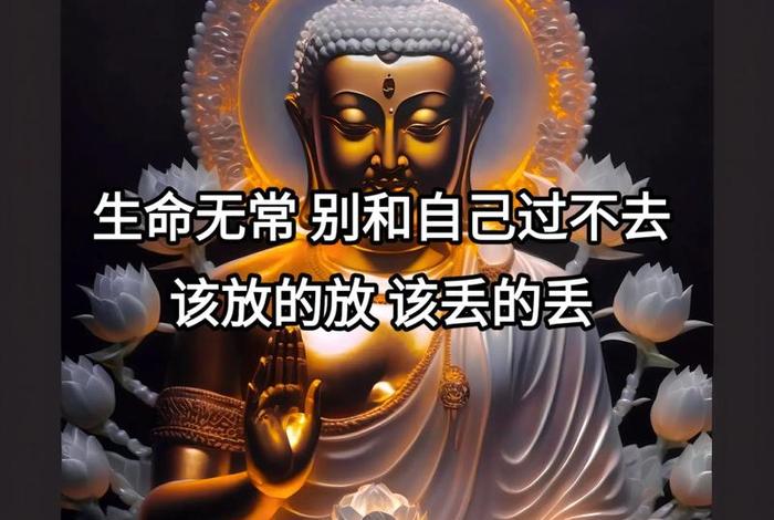 如何用佛学来指导生活 怎么用佛学去感悟一个人