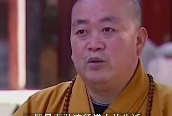 释永信大师经典语录 释永信师弟