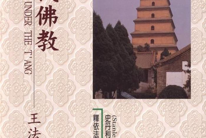 唐代佛教发展情况（唐代佛教发展史）