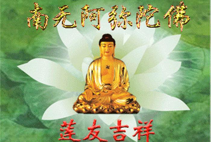 佛学网在线念佛、佛教网在线念佛