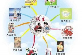 佛教放生的功德和福报和注意事项，佛教放生的功德和福报和注意事项有哪些