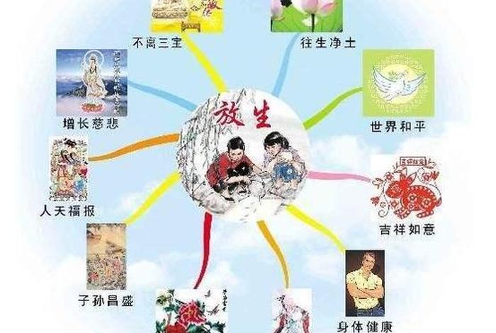 佛教放生的功德和福报和注意事项，佛教放生的功德和福报和注意事项有哪些