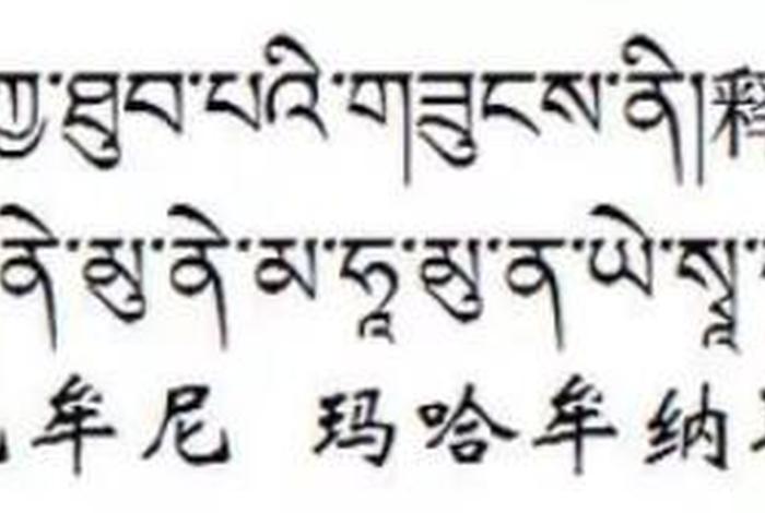 佛心咒怎么读；佛心咒全文