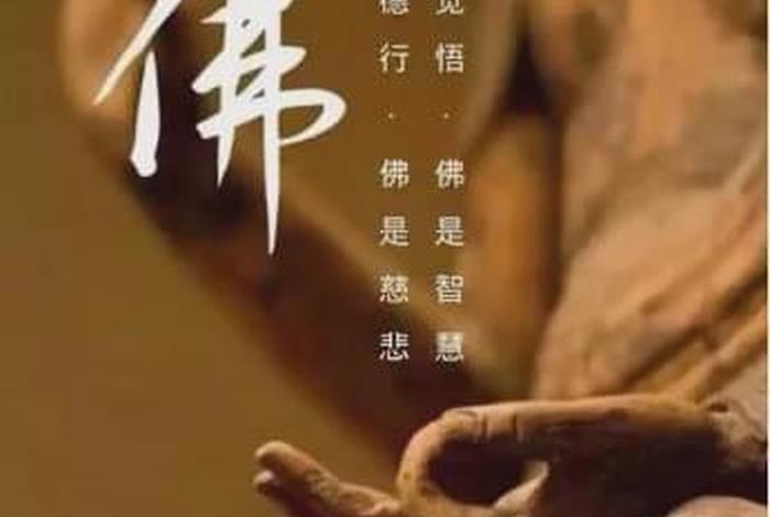 懂佛法的人，懂佛法的人日常想什么事情