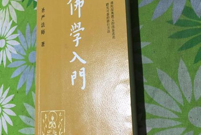 佛学入门第一部分视频，《佛学入门》